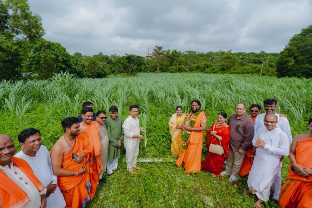 Napier Grass Project - Shree Datta Padmanabh Peeth - 